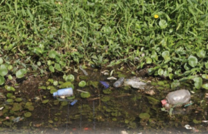 “Saúde Pública” Homem é flagrado descartando material em canal no litoral de SP