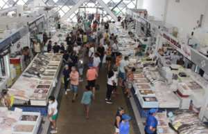 Semana Santa chegando procura por pescado aumenta