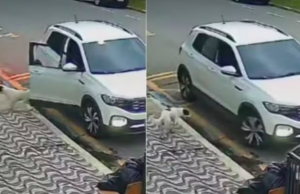 Motorista é filmado abandonando cachorro em avenida de São Vicente.
