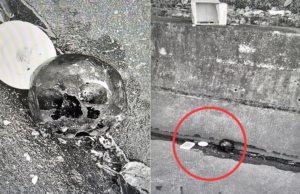 Crânio é encontrado com velas, prato e carta assinada por ‘Sr. Caveira’ na Rodovia dos Imigrantes