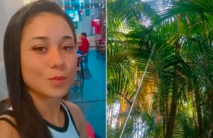 Jovem morre após sofrer descarga elétrica durante colheita de açaí no Interior de SP.