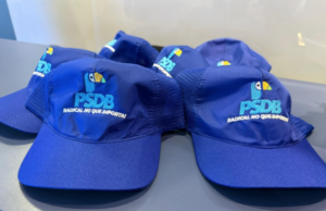 Órgão máximo do PSDB dá aval à união com Podemos