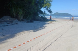 Defesa Civil isola trecho da Praia de Juquehy após queda de pedras gigantes