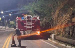 Vento forte provoca queda de árvores no LN e interrompe travessia de balsa