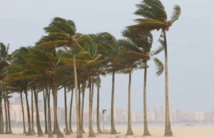 Vento paralisa travessia de balsas e região entra em alerta.