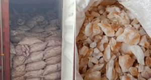 Apreensão de toneladas de quartzo no Porto de Santos.