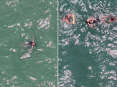 Prova de guarda-vidas é interrompida por afogamento real no mar em Santos.