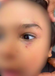 Captura de Tela 2025-11-21 às 10.49.24