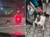 Polícia identifica casal flagrado puxando cão pela coleira enquanto andava de moto.