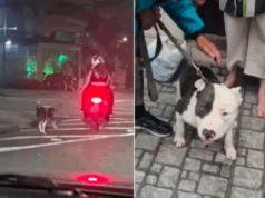 Polícia identifica casal flagrado puxando cão pela coleira enquanto andava de moto.